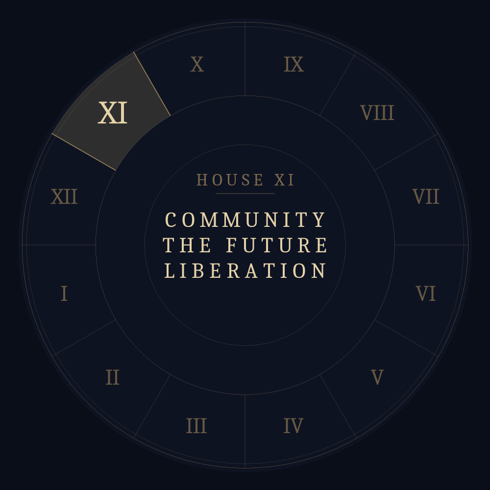 Astrological chart wheel highlighting the eleventh house: community, the future, liberation.